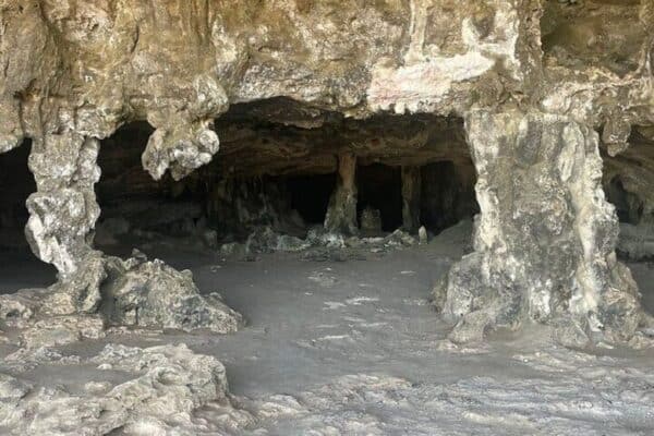 Jeep Tour: Natuurlijke Zwembad, Grotten en Babystrand Avontuur (Aruba) - Afbeelding 5