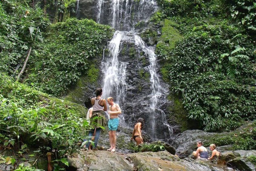 Volledige Dag Tour naar Brownsberg Natuurpark (Suriname)