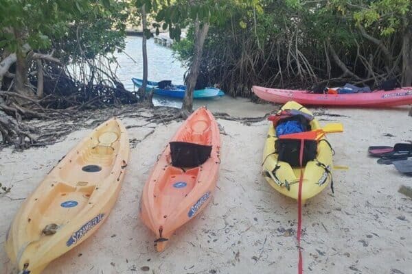 Excursión en kayak en Mangel Halto y Spanish Lagoon (Aruba) - Imagen 5