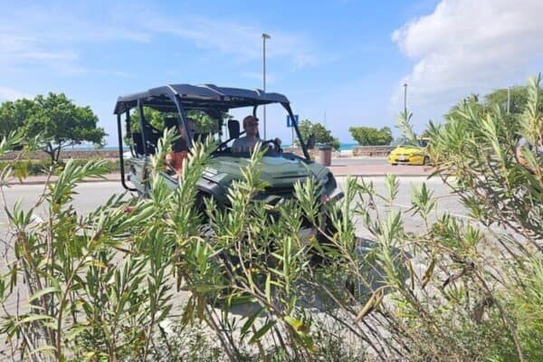 5-Persoons UTV 4 Uur Eilandtour (Aruba) - Afbeelding 4