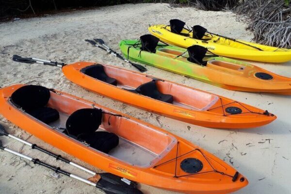 Glass Bottom Kayak Tour of the Mangrove Forest (Aruba) - Image 5