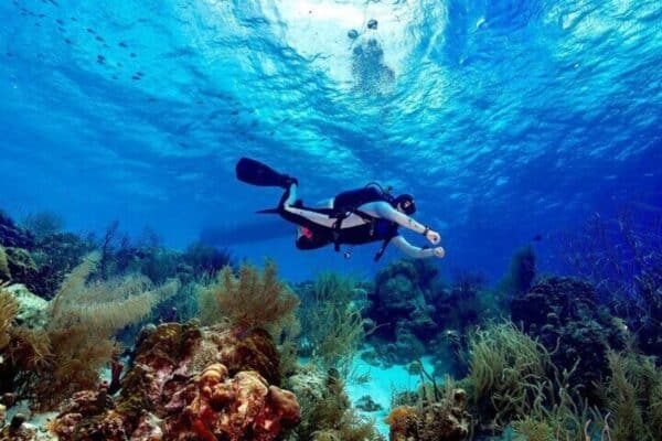 Private Scuba Dive Charter in Marine Park (Bonaire) - Image 5