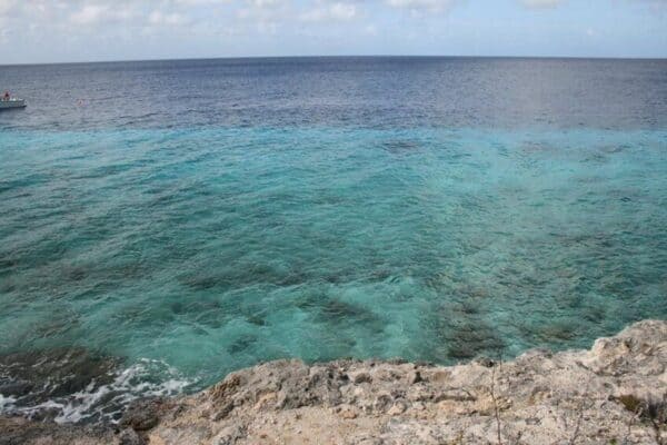 Tour privado completo con guía local (Bonaire) - Imagen 5