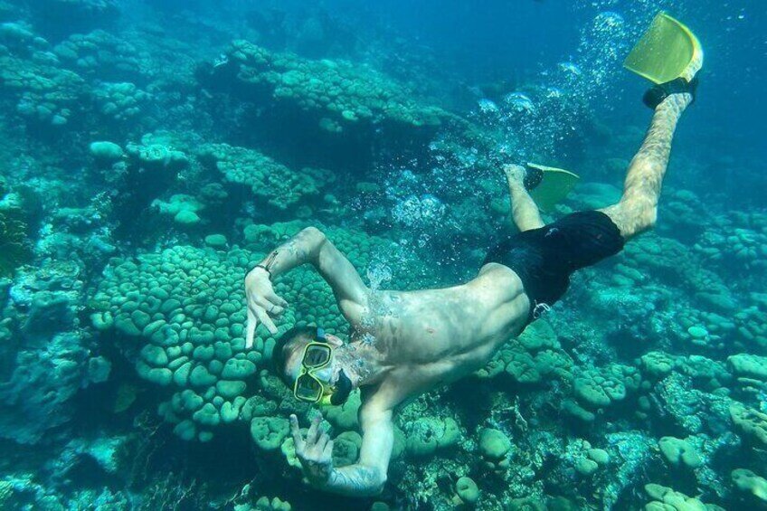 Halve Dag Privé Snorkelervaring - Breng Je Eigen Vrienden Mee! (Aruba) - Afbeelding 5