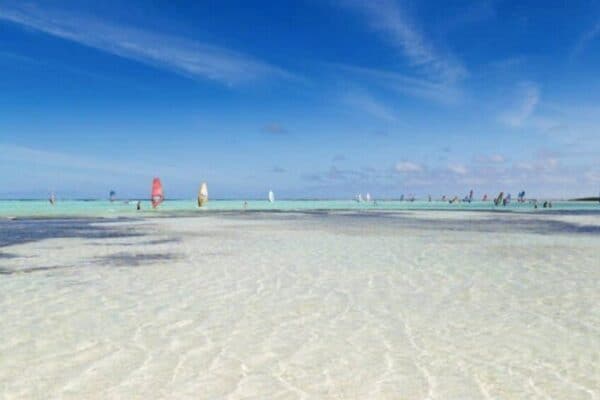Bonaire Highlights Tour (Bonaire) - Image 3