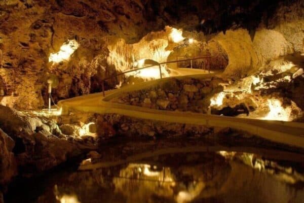 Island Treasures: Caves, Turtles and Turquoise Beaches (Curaçao) - Image 5