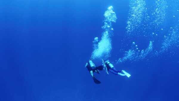Diving tour in the Caribbean (Aruba) - Image 3