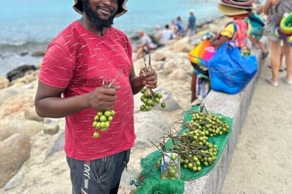 All-in-One Island Tour of St. Martin (Sint Maarten) - Image 2