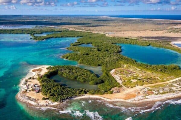 Visita guiada individual de 2 horas en la Isla Sur para solteros y parejas (Bonaire) - Imagen 5