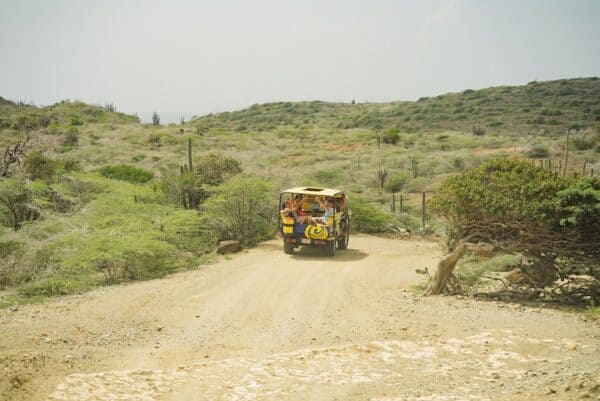 Eiland Safari per Jeep met Lunch (Aruba) - Afbeelding 3