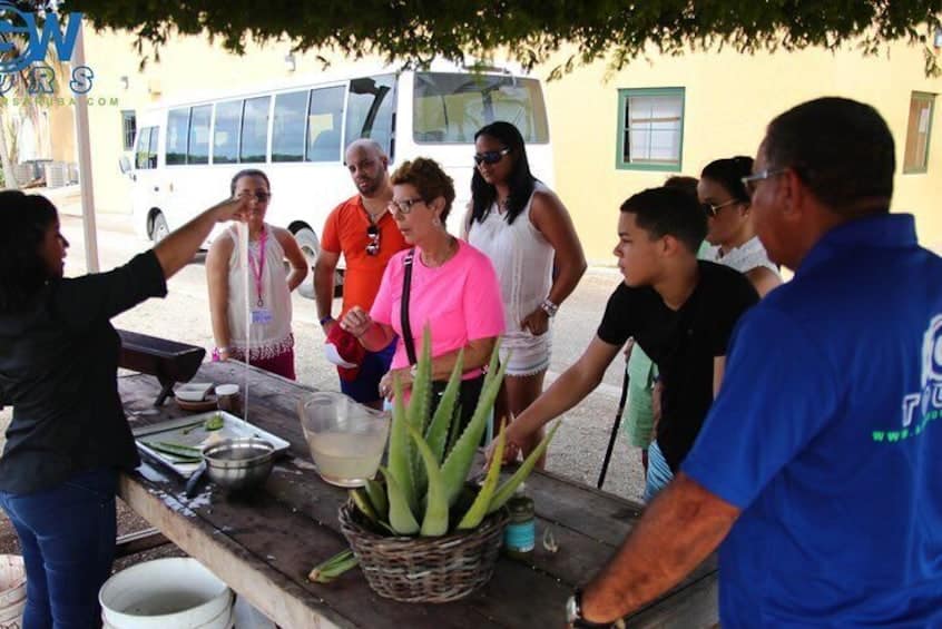 Aangepaste Eiland Tour voor Jong en Oud (Aruba)