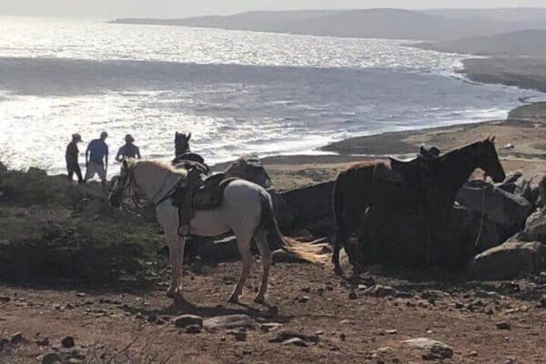 Rotsformaties en Strandtocht (Aruba)