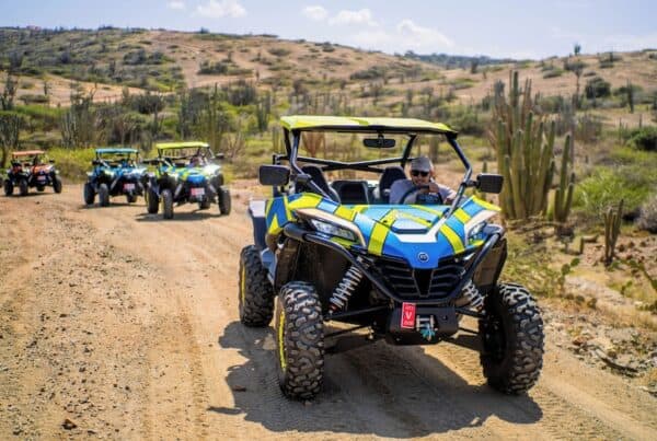 Wild Side – Tour UTV Todo Incluido Descubre el Norte (Aruba) - Imagen 2