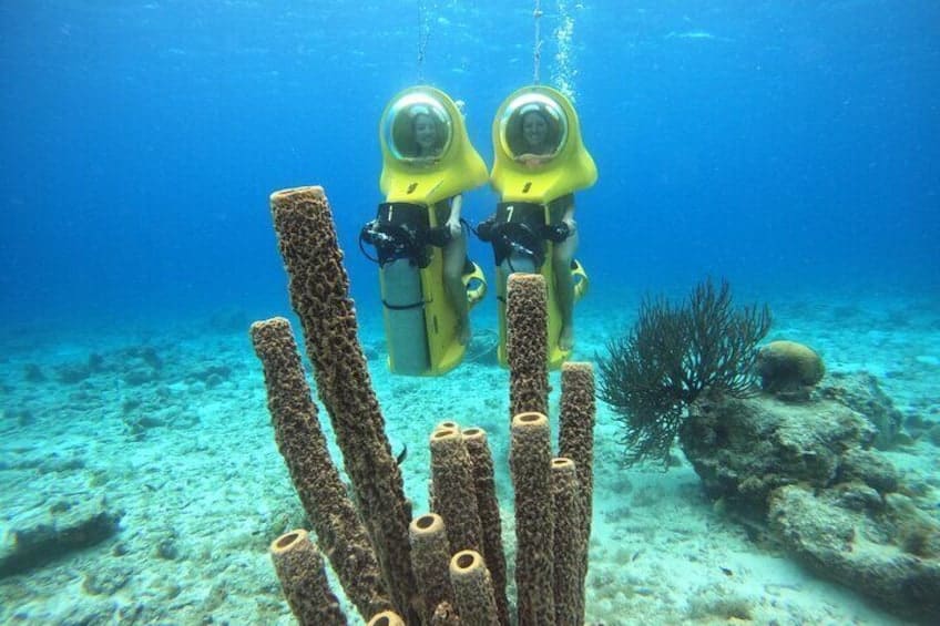 Aquafari Tour in Curaçao (Curaçao)