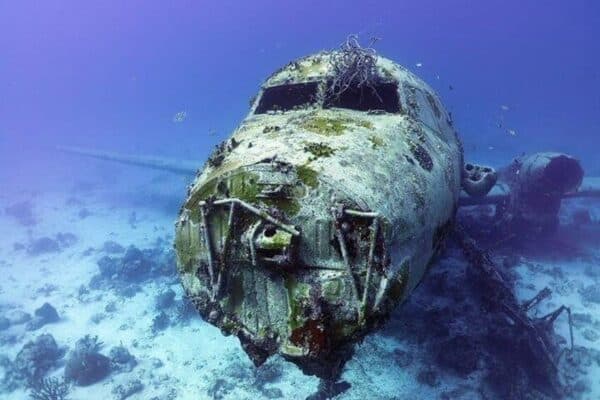 1-Tank Guide Dive for Certified Divers with Rental Equipment (Aruba) - Image 4