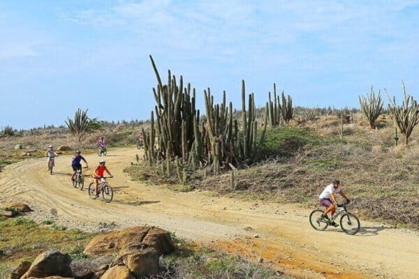 Privé Mountainbiketour (Aruba) - Afbeelding 3