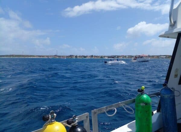 Jane Sea Naufragio Buceo 2 Tanques (Aruba) - Imagen 3