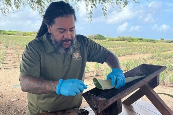 Extraordinario recorrido por la naturaleza (Aruba) - Imagen 5