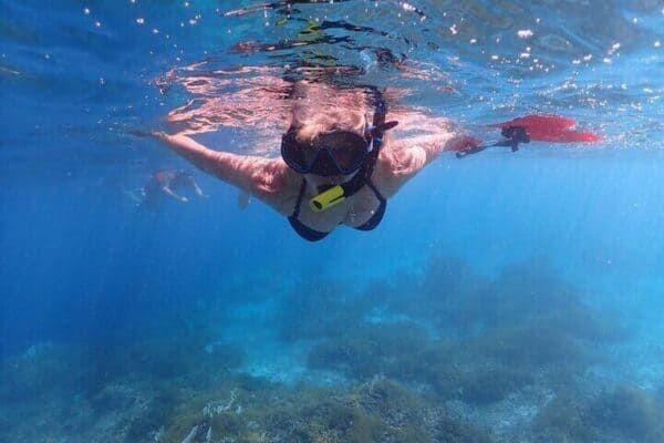 Excursión de snorkel en el Parque Marino Klein Bonaire (Bonaire) - Imagen 3