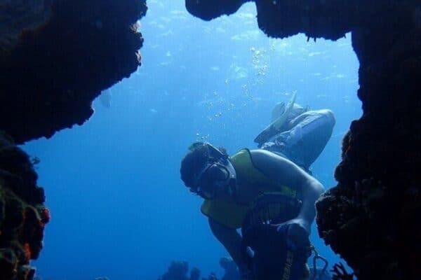 Snorkelen met kleine groep op zeescooters bij Mangel Halto Beach (Aruba) - Afbeelding 2