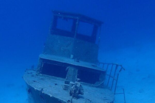 Geleide PADI Zip Scuba Duiken voor Beginners (Aruba) - Afbeelding 3