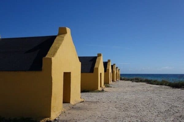 Kustexcursie: Ontdek de Hoofdzijde van Bonaire (Bonaire) - Afbeelding 5