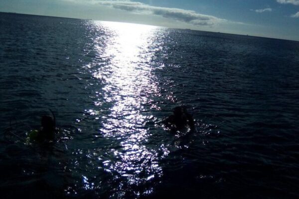 Buceo nocturno de 1 tanque con equipo de alquiler para buzos certificados (Aruba) - Imagen 5