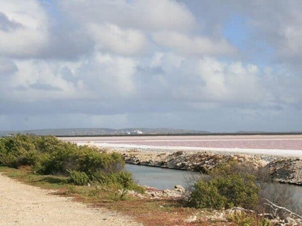 Your Guide: Private Tour (North  South) Customize (Bonaire) - Image 5