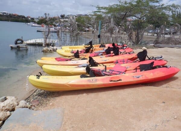 2-Uur Kajak Tour in Curaçao (Curaçao) - Afbeelding 4