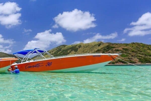 Billy Bones Exclusive Private Boat Tour Around St. Maarten (Sint Maarten) - Image 3