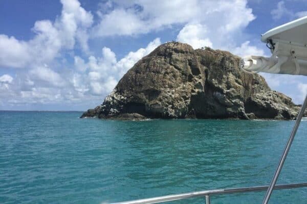 De Ultieme Eco Tour: Een Dag Rondom Sint Maarten (Sint Maarten) - Afbeelding 3