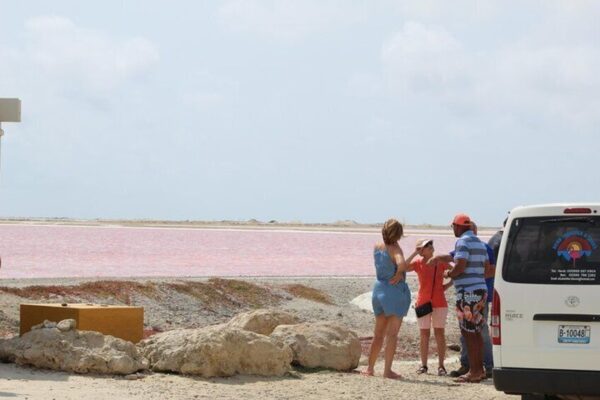 Privé Eilandtour in het Spaans (Bonaire) - Afbeelding 2