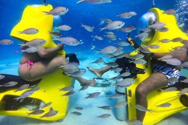 Aquafari Tour in Curacao (Curacao) - Image 3