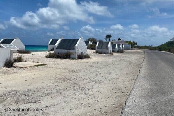 Visita guiada norte y sur (Bonaire) - Imagen 5