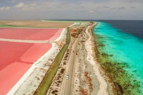 Tour privado completo con guía local (Bonaire) - Imagen 2