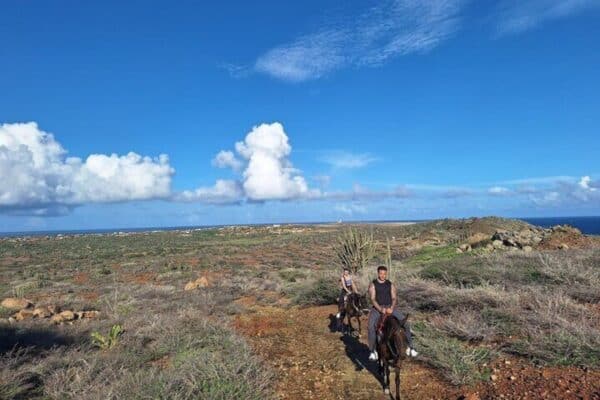 Private 2-Hour Advanced Horseback Riding Tour (Aruba) - Image 2