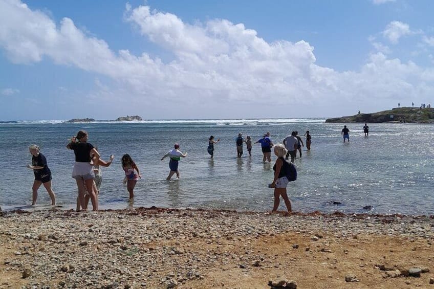 Privé Eilandtour in St. Maarten (Sint Maarten)