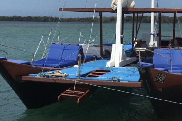 VIP Morning Fun: Champagne, Sailing and Snorkeling with Lunch (Aruba) - Image 5