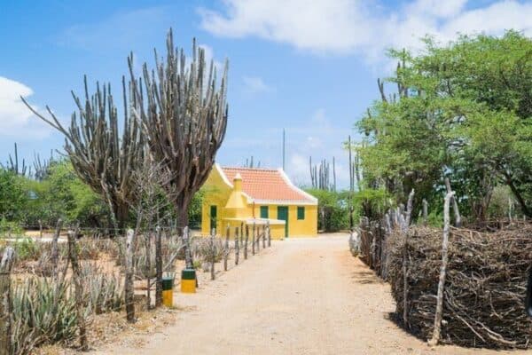 Hoogtepunten van Bonaire & Culturele Ervaring (Bonaire)