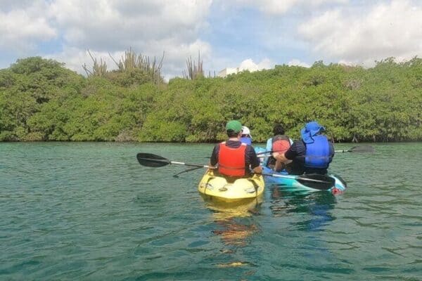 Excursión en kayak en Mangel Halto y Spanish Lagoon (Aruba) - Imagen 2