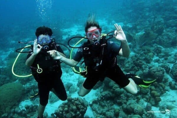 Half-Day Scuba Diving Experience Including Transportation (Curaçao) - Image 2