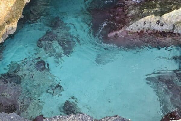 UTV Tour with Natural Cave Water and Cliff Diving (Aruba) - Image 2