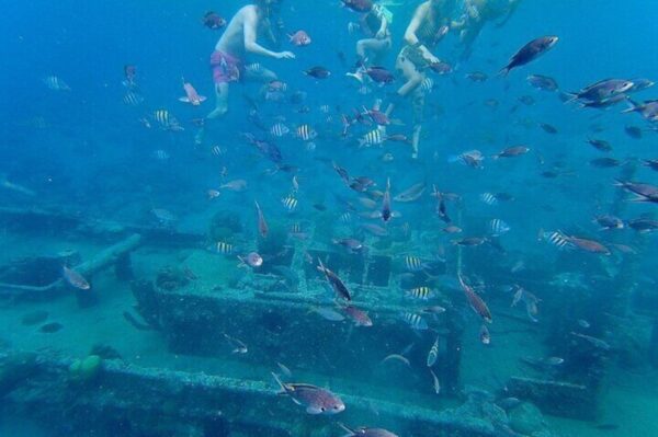 Snorkelboottocht: Verzonken schip, oud fort & baai (Curaçao) - Afbeelding 5