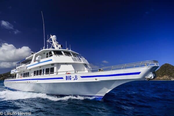 Snelle Ferry naar St. Barths (Sint Maarten)