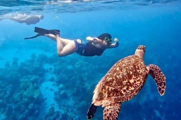 Private Scuba Dive Charter in Marine Park (Bonaire) - Image 3