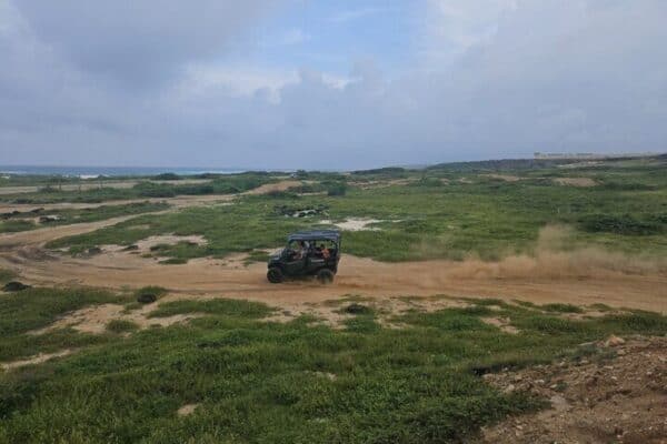 5-Persoons UTV 4 Uur Eilandtour (Aruba) - Afbeelding 5