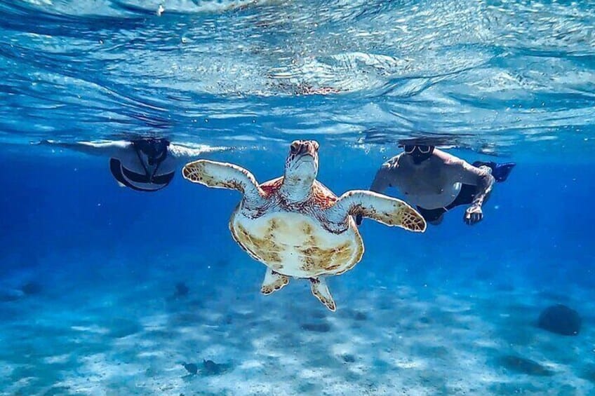VIP Privé-eiland & Snorkelen – Zuid Bonaire (Bonaire)