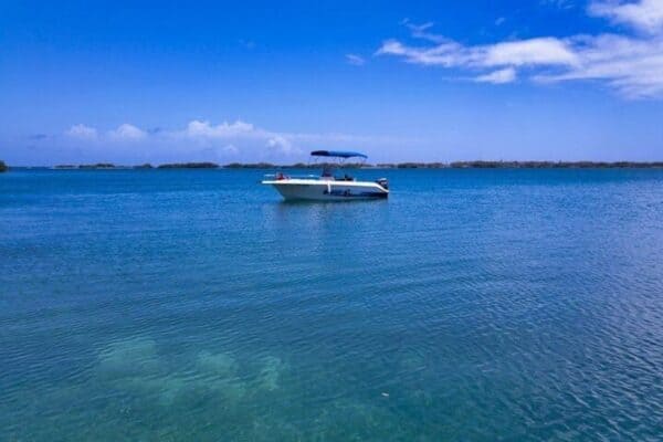 2-uurs privéboottocht - Swim Stop & Aankomst (Curaçao) - Afbeelding 5