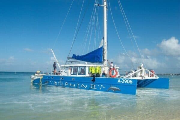 Dolphin Catamaran Snorkeling and Sailing with Open Bar (Aruba) - Image 2