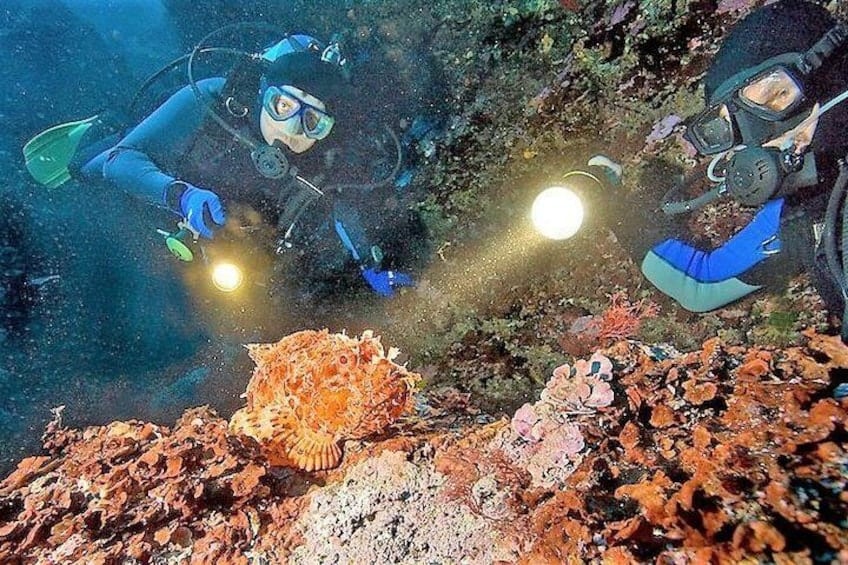 1-Tank Nachtduik met Huuruitrusting voor Gecertificeerde Duikers (Aruba)